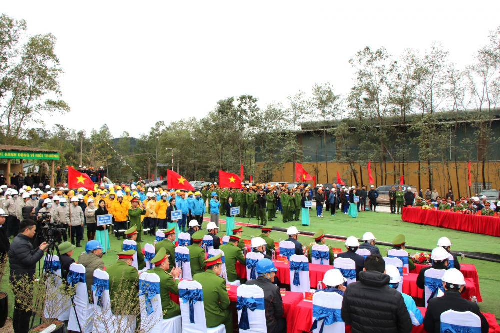 cây xanh 1