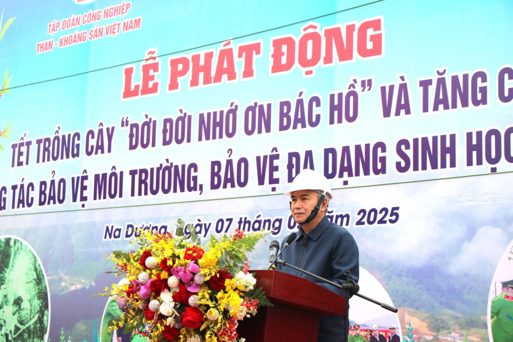 cây xanh 2