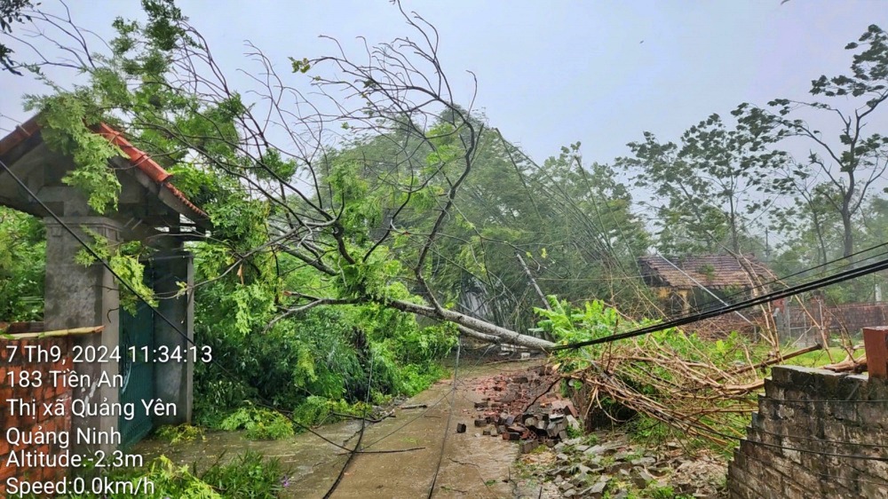 hình ảnh về bão YaGi