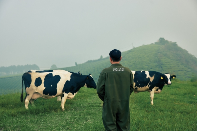 Mộc Châu Creamery không chỉ là một thương hiệu, mà còn là một chương mới của câu chuyện sữa từ vùng đất Mộc Châu. Ảnh: Mộc Châu Milk